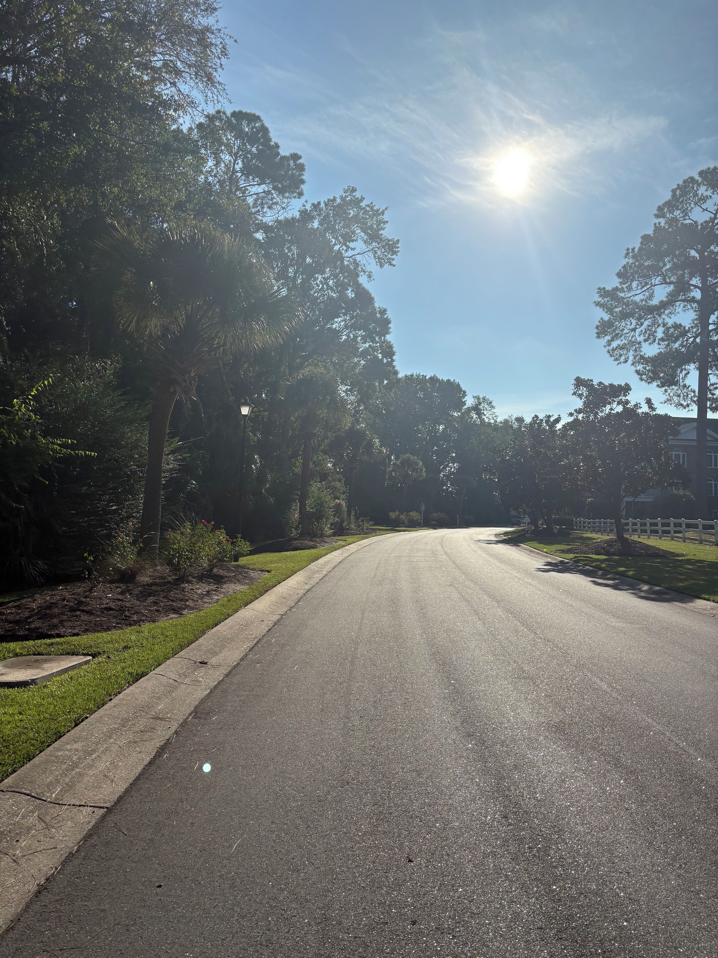 A residential street with a curved road, surrounded by trees and a grassy median.
