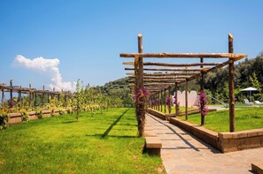 Viñedo con pérgolas de madera y un sendero de piedra.