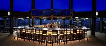 Cozy Mid-Century Modern retreat in charming Bellaire. Family friendly!