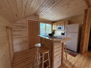Fridge, microwave, oven, stovetop - New Listing! Lovely 5 bed/bath home, sand beach on Howard Lake- Akeley/Walker (Akeley)