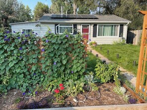 Exterior - Lilac Lodge near River Point (Sheridan)