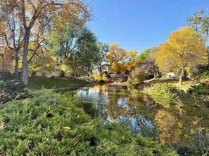 Ein friedlicher Teich, umgeben von üppigem Grün und Bäumen mit Herbstlaub.