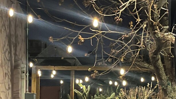 An outdoor area with a covered seating area, a cactus plant, and string lights. - Cozy 1-bedroom bungalow in amazing Las Cruces with AC (Las Cruces)