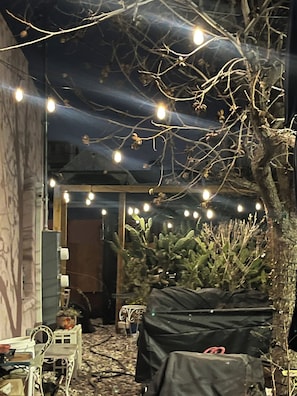 Un espacio al aire libre con una zona de estar techada, una planta de cactus y luces colgantes.