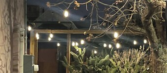 Cozy 1-bedroom bungalow in amazing Las Cruces with AC