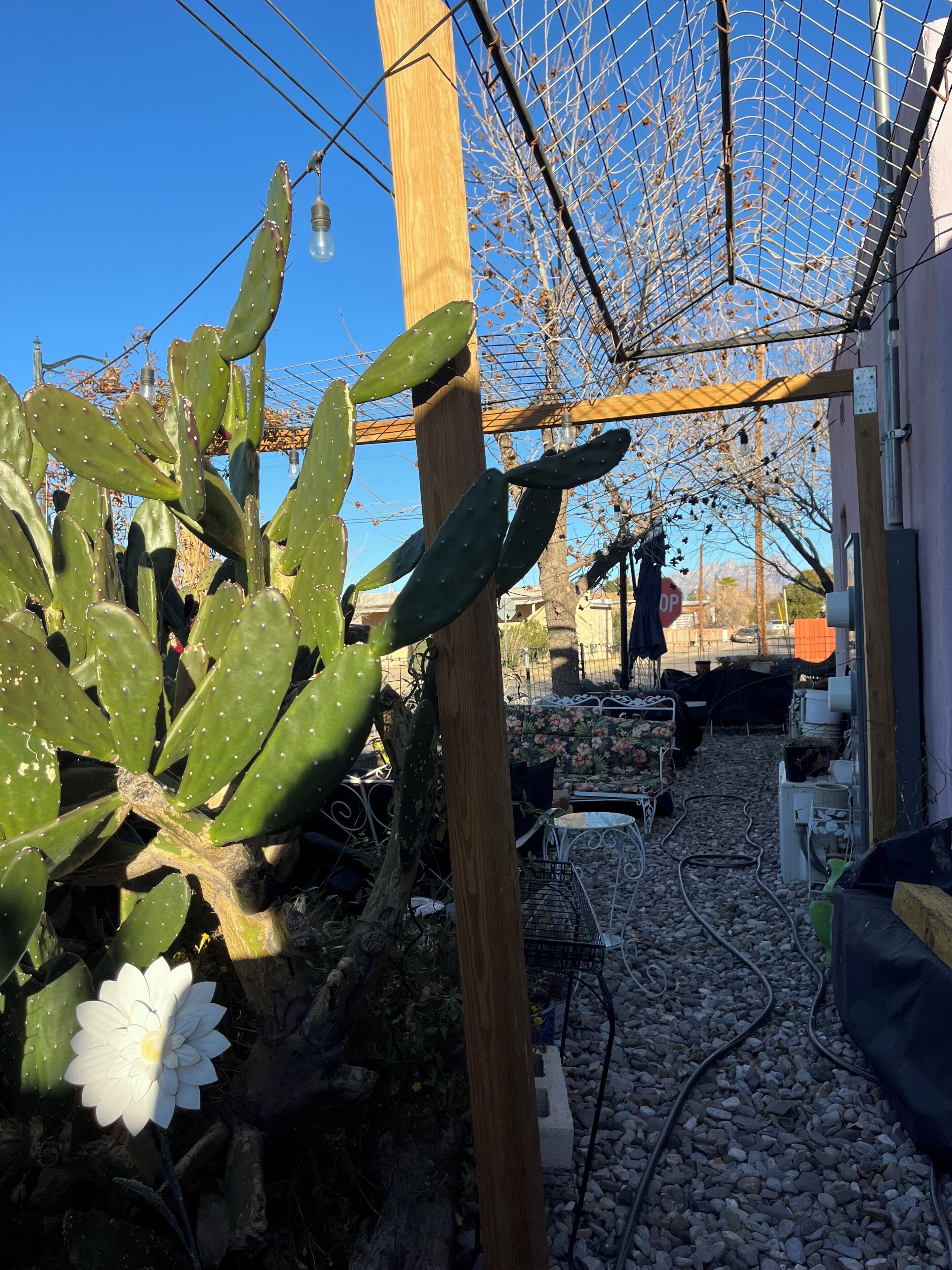Enceinte de l’hébergement
