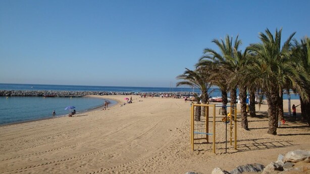 Ein Strand mit Palmen, einem sandigen Ufer und blauem Himmel.