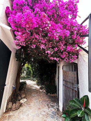 Exterior detail - Romantic Beach House with Breathtaking Views on the Costa Brava (Lloret de Mar)