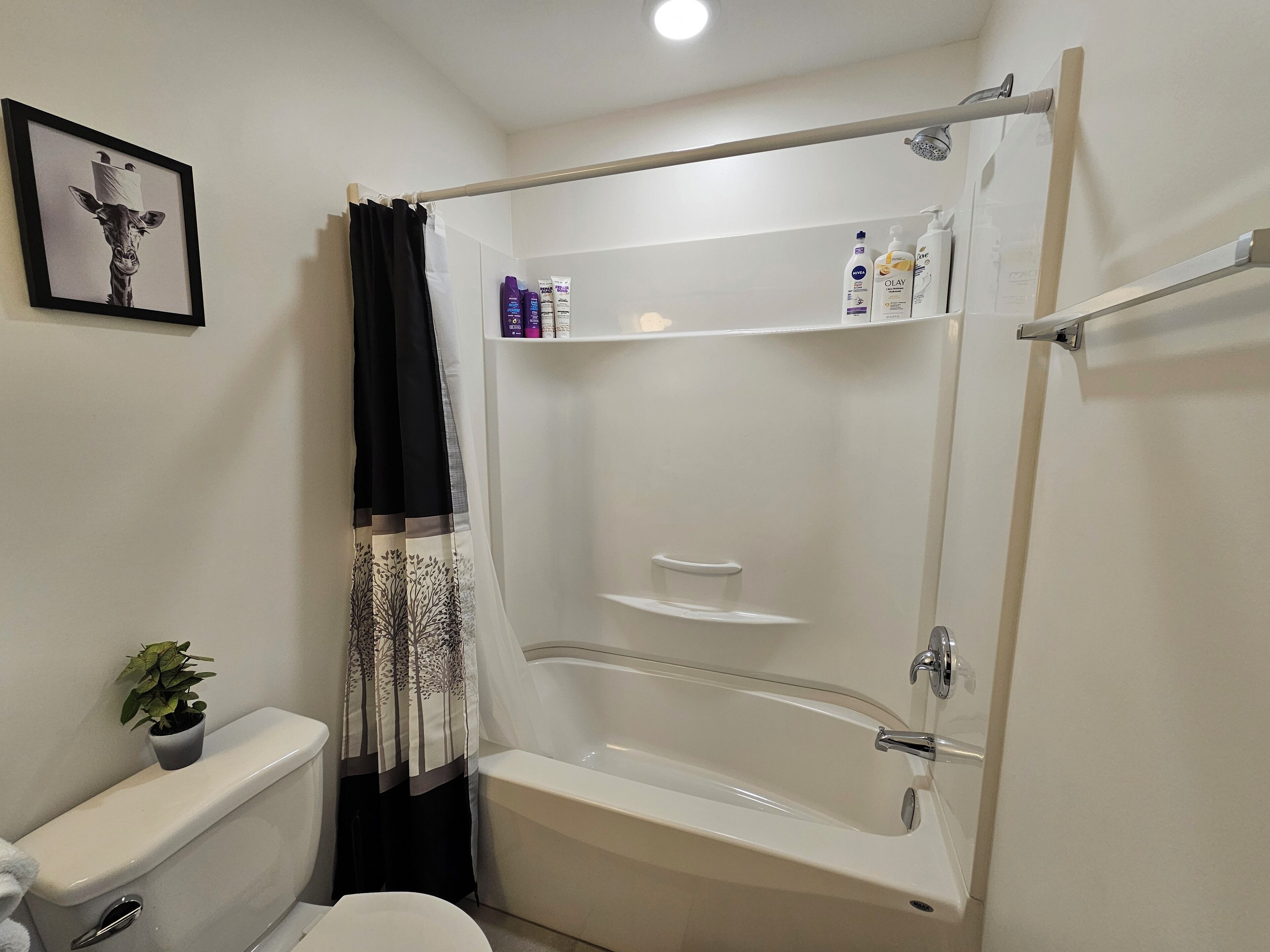 Een badkamer met een toilet, een douche met glazen deur en een plank met toiletartikelen.