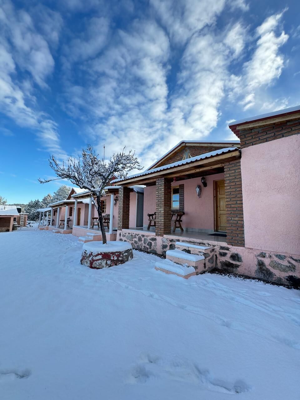 Classic Triple Room, Patio | Exterior