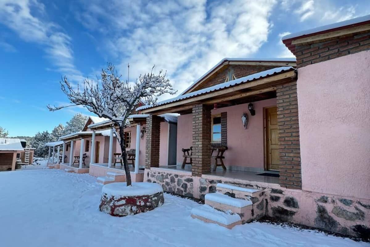 Classic Triple Room, Patio | Exterior