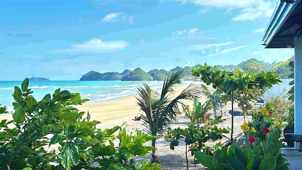 A beach view with a clear sky, palm trees, and a sandy shore.