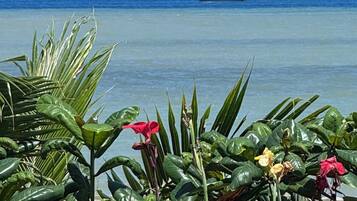 Private beach, beach umbrellas, beach towels, beach massages