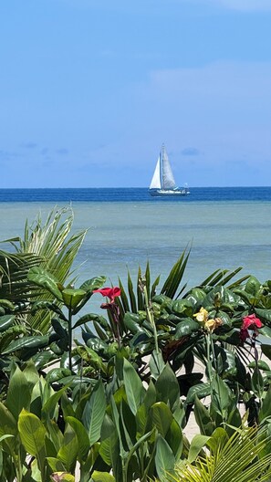 Private beach, beach umbrellas, beach towels, beach massages - buddy's Beach House Sipalay (Sipalay)