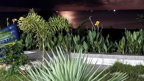 A garden with various plants and a view of the sea at night.