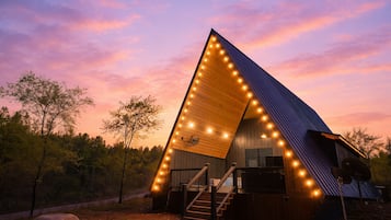 Een modern, driehoekig gebouw met een houten gevel en een trap die naar een terras leidt.