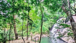 Una escalera de piedra conduce a una plataforma con vistas a un río, rodeada de abundante vegetación.