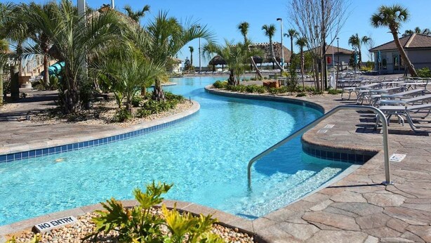 Un área de piscina con diseño curvo, rodeada de palmeras y sillas de descanso.