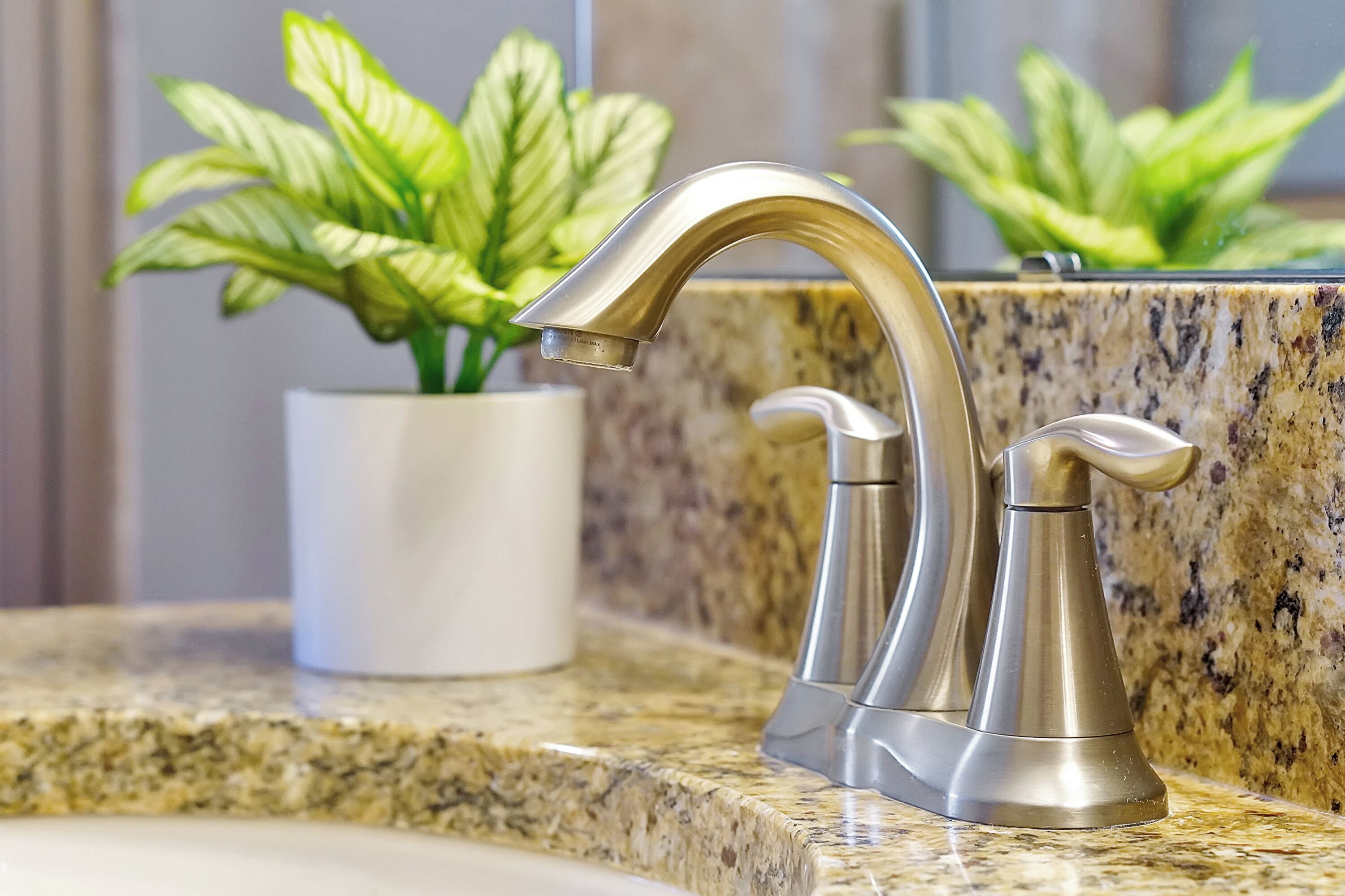 A bathroom with a granite countertop, a gold-colored faucet, and a potted plant.