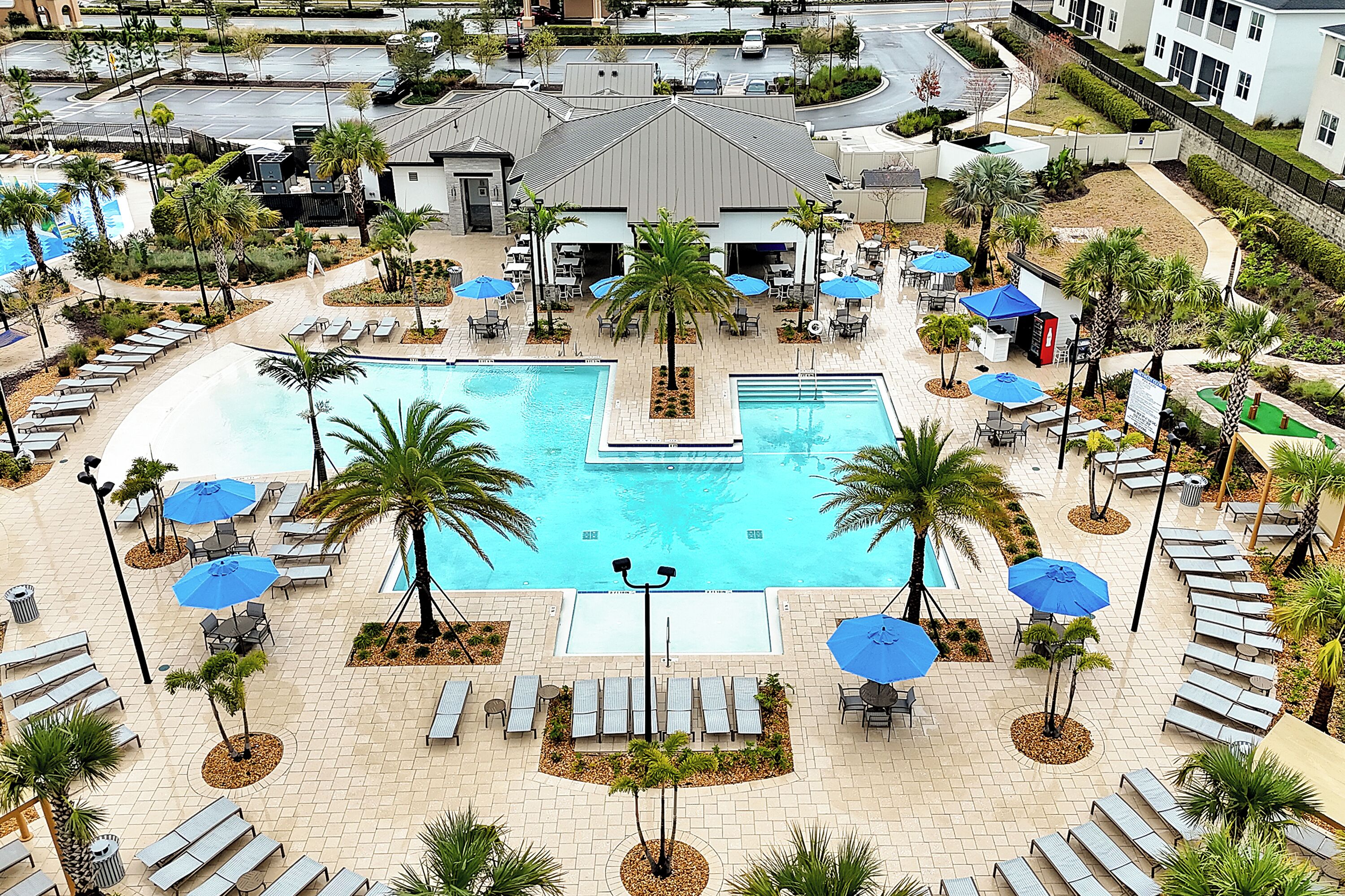 A rooftop pool area with lounge chairs, umbrellas, and palm trees.