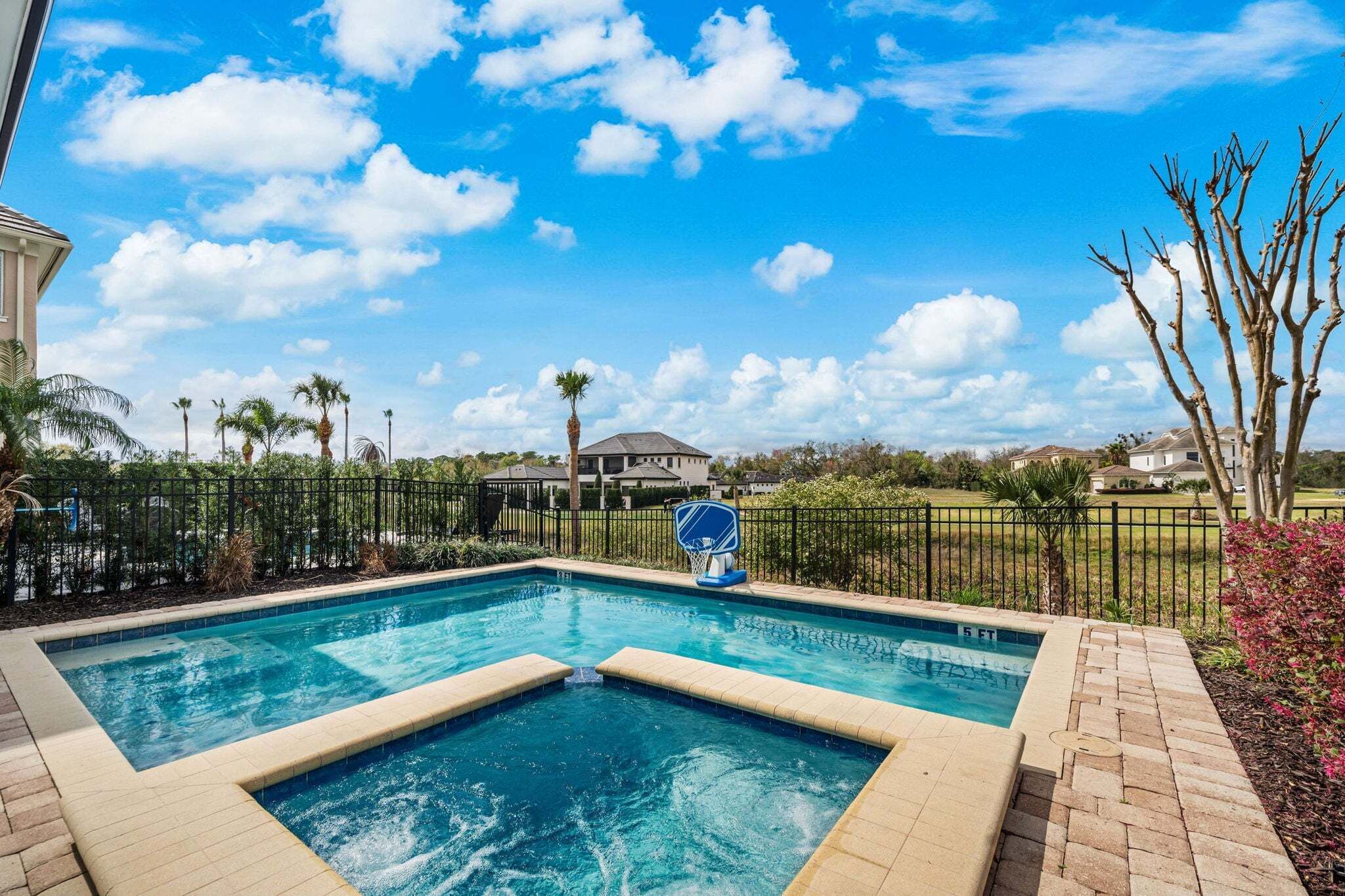 A swimming pool with a basketball hoop, surrounded by a fence and palm trees.