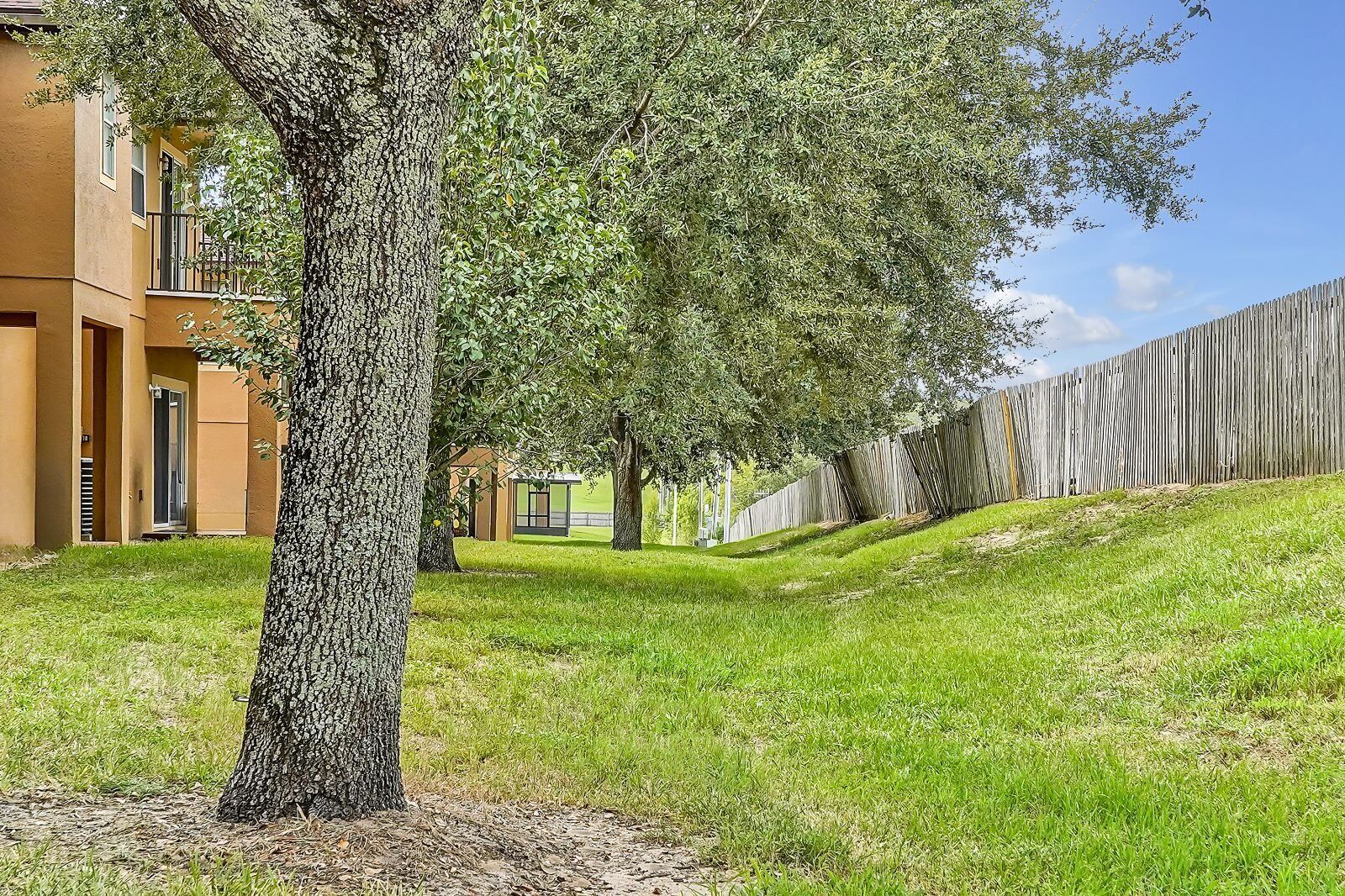 Un quartier résidentiel avec un grand arbre au premier plan, une clôture en bois et un immeuble doté d’un balcon.