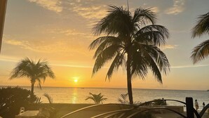 Une vue sur le coucher de soleil, avec des palmiers et une plage.