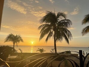 Vista del atardecer con palmeras y una playa.