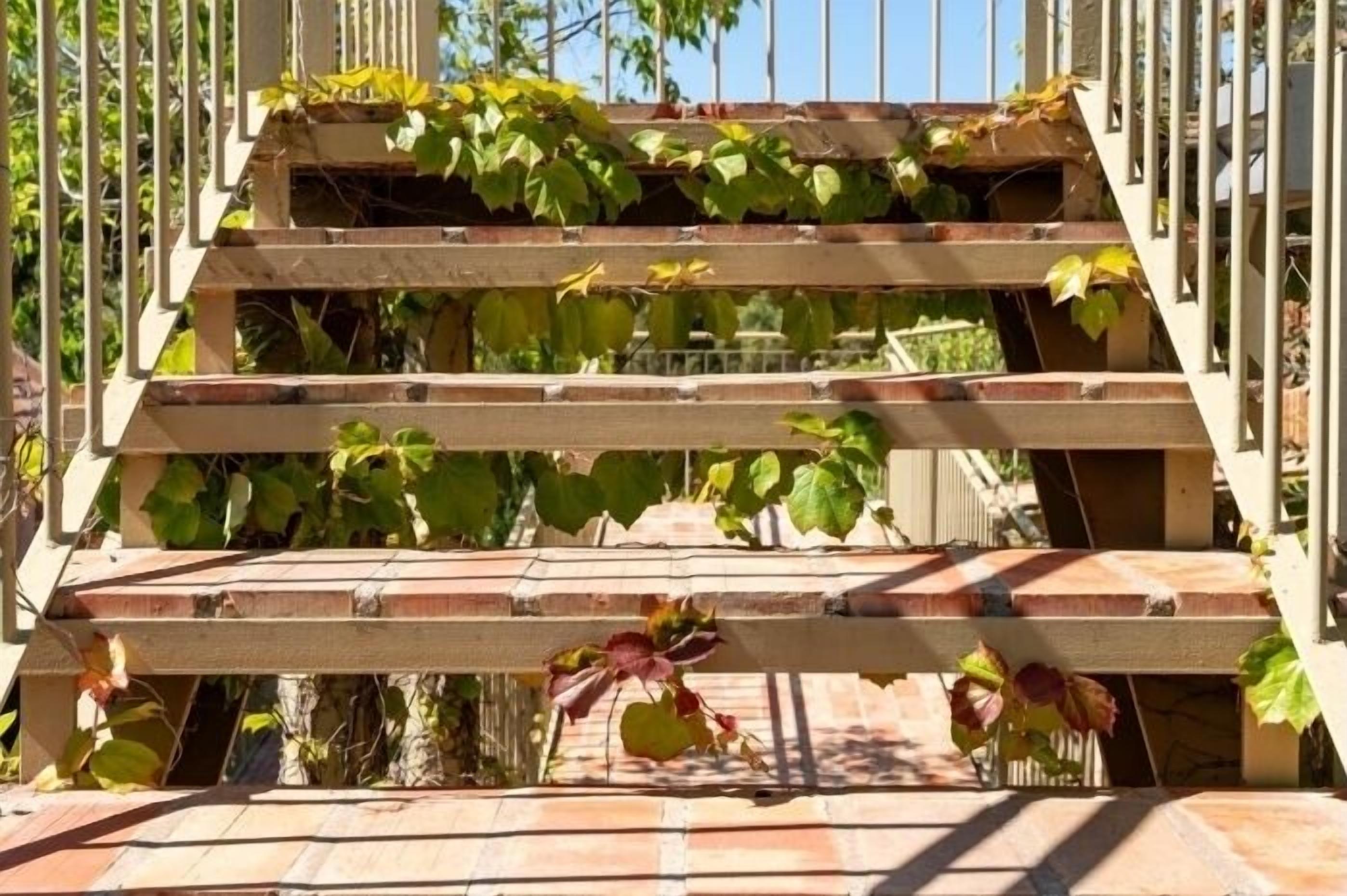 Un escalier en bois, envahi de plantes grimpantes.