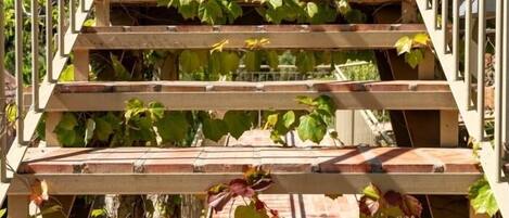 Un escalier en bois, envahi de plantes grimpantes.