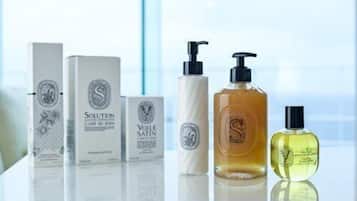 Hair dryer, towels, soap, toilet paper