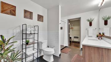 Shower, hair dryer, towels, soap