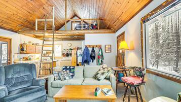 TV, fireplace, DVD player, books