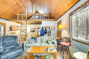 TV, fireplace, DVD player, books