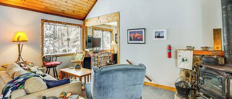 TV, fireplace, DVD player, books