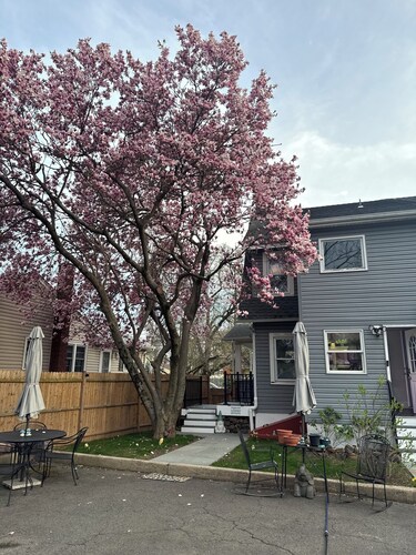 Historic apartment in Bound Brook. Newly renovated, gated parking, garden patio