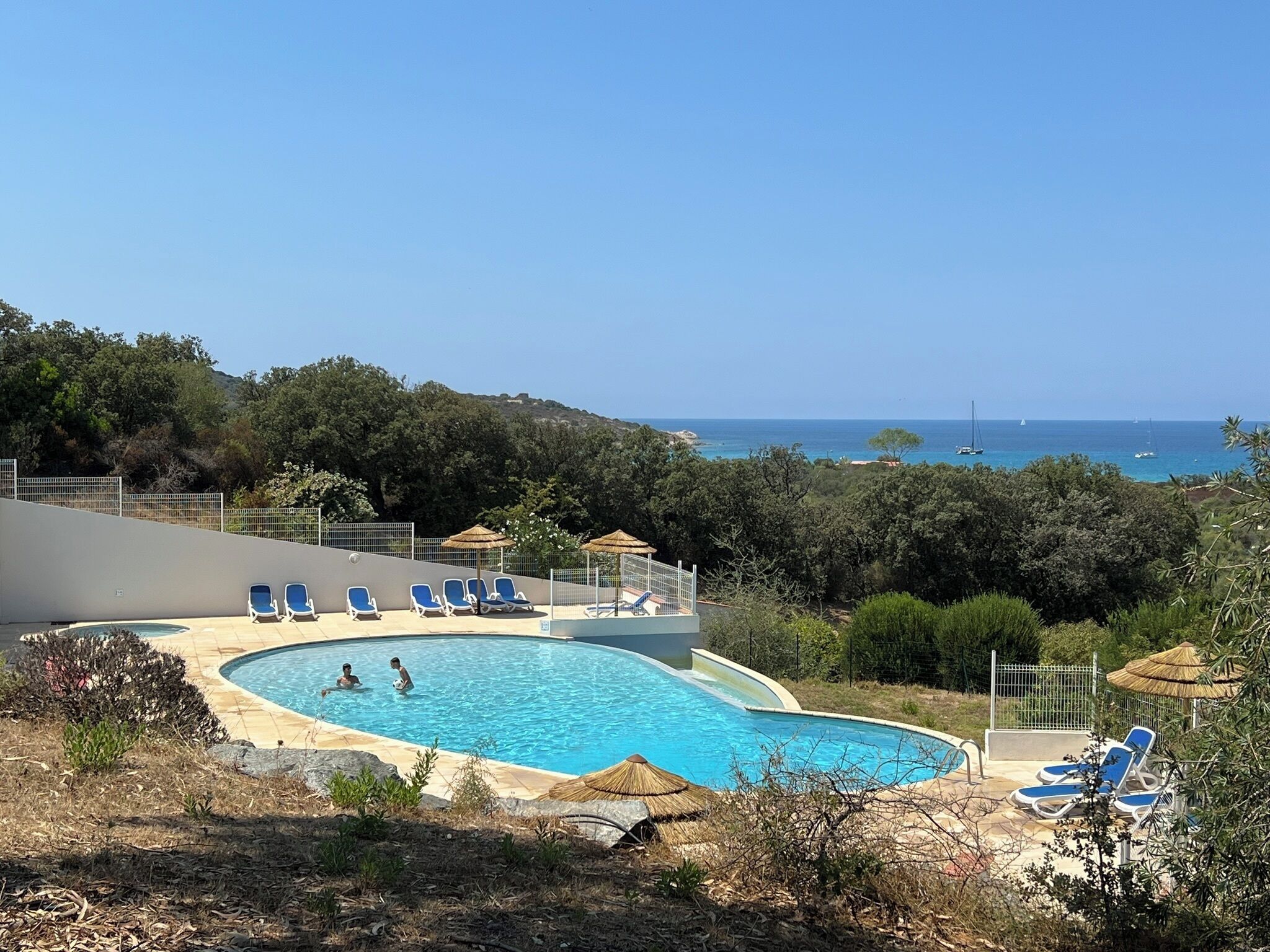 A swimming pool with blue lounge chairs, surrounded by trees and a view of the sea.