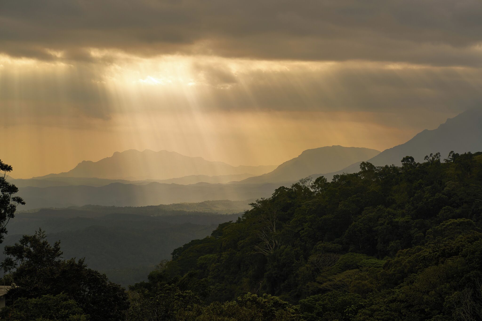 Un paysage montagneux, avec une forêt dense et une vue sur des montagnes lointaines sous un ciel nuageux.