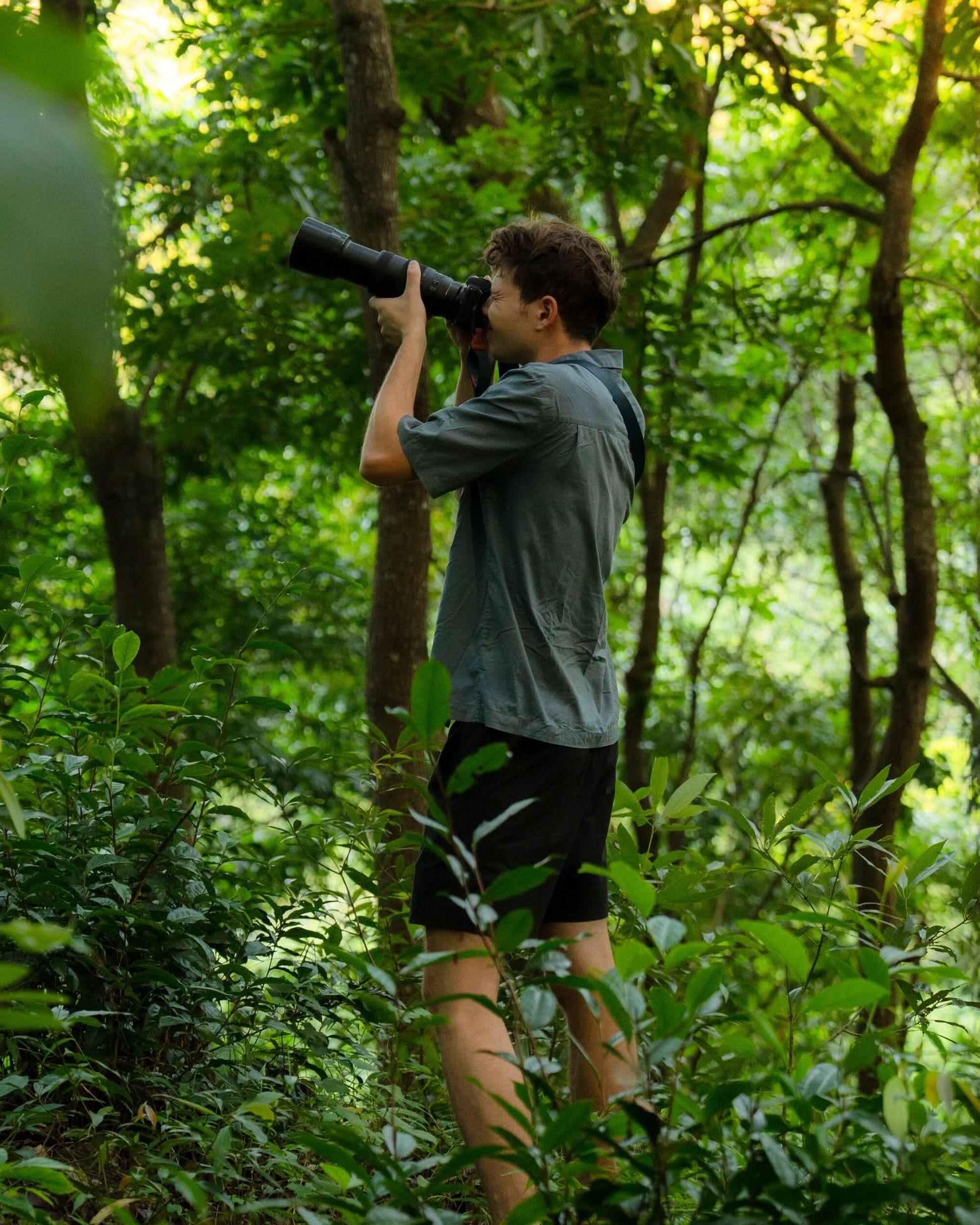 A person holding a camera in a forest.