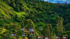 A hillside with modern wooden buildings, lush greenery, and a clear sky. - Wishing Tree Boutique Resort Haputale (Haputale)