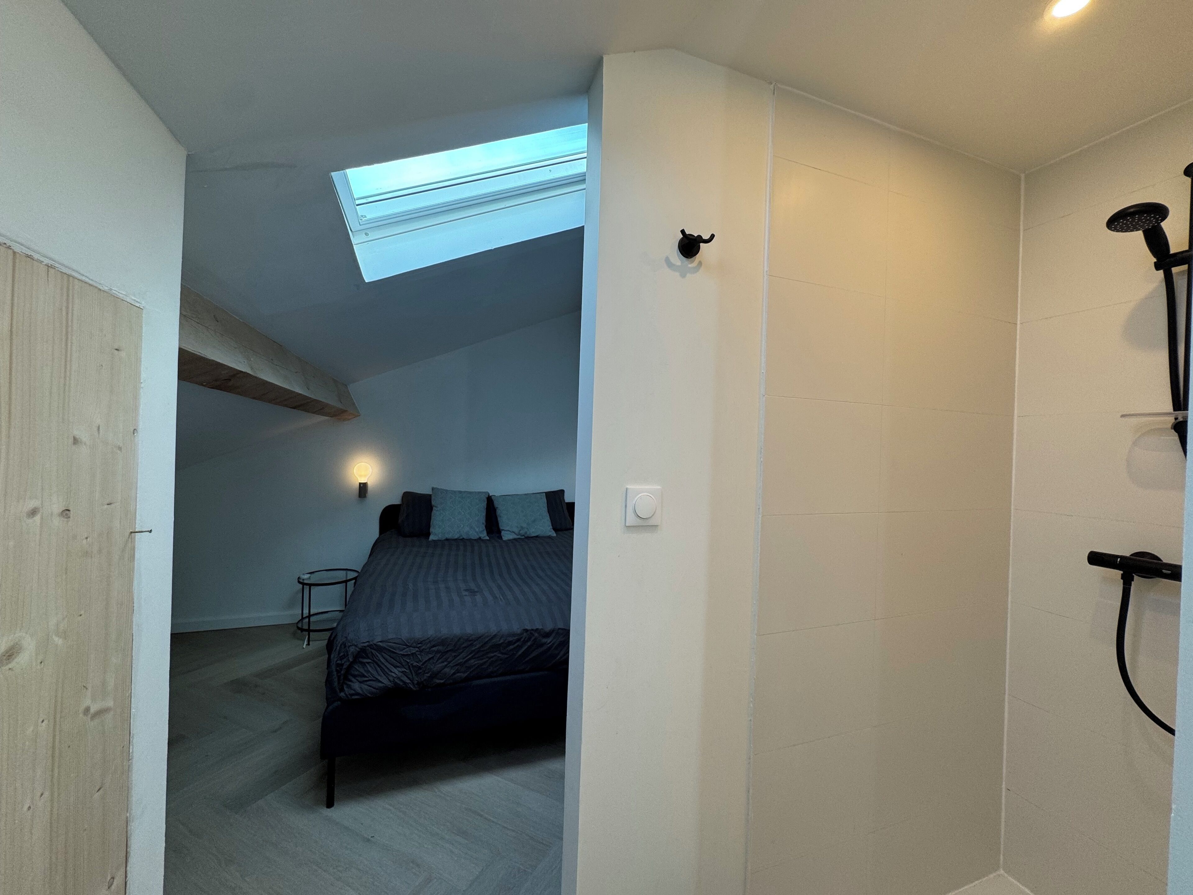 Un dormitorio con tragaluz, cama y zona de ducha.