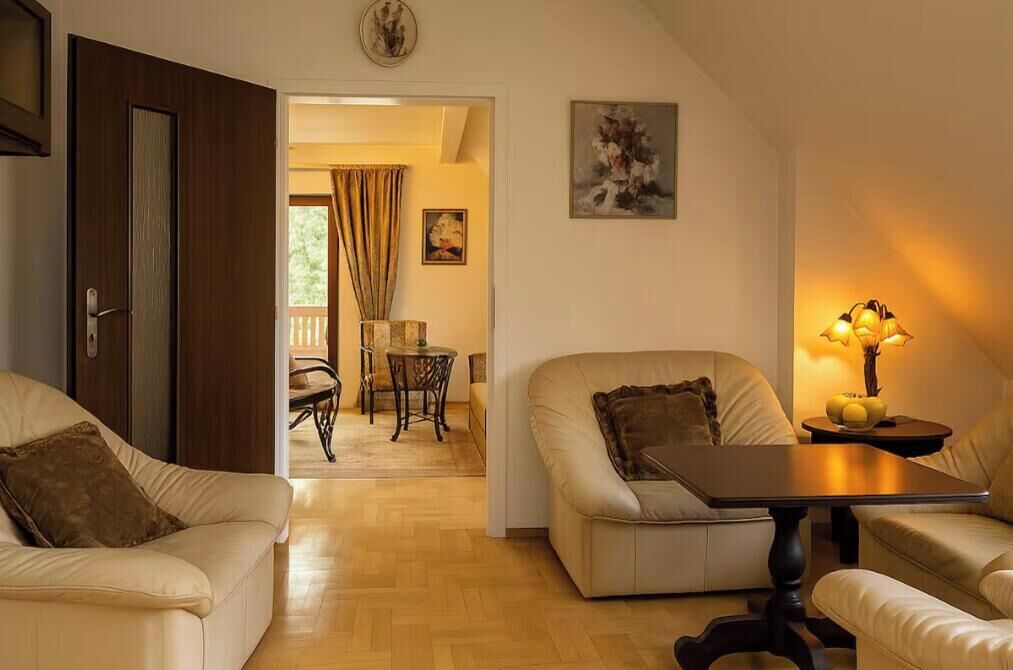 Smart TV, fireplace, DVD player, books