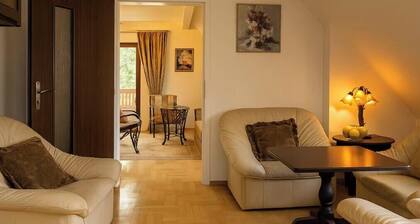 Spacious 6 Bedroom Kraków Home, Prime Location, AC & Heat Perfect for Groups