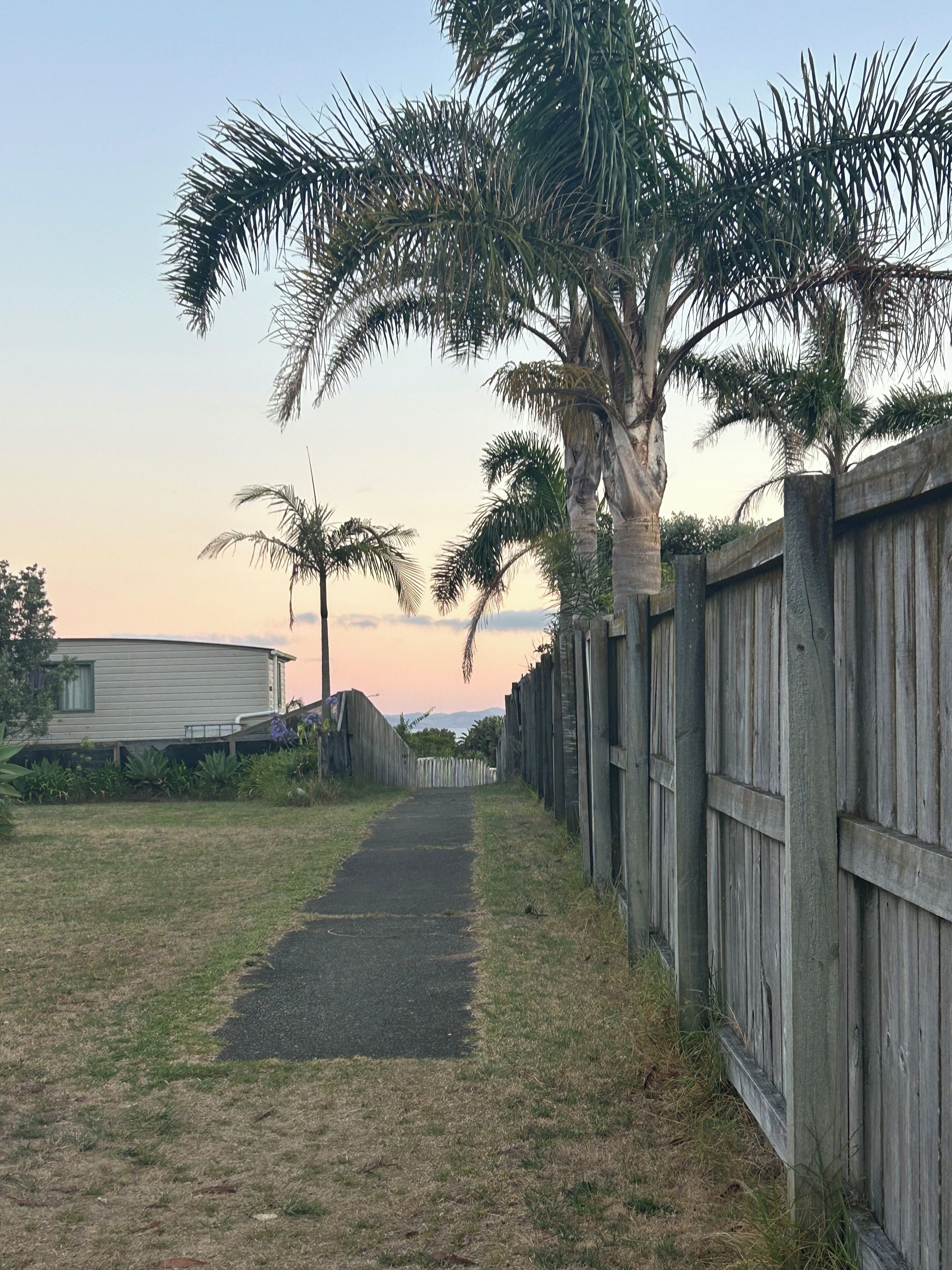 A pathway leading to a wooden fence with palm trees, a small house, and a clear sky.