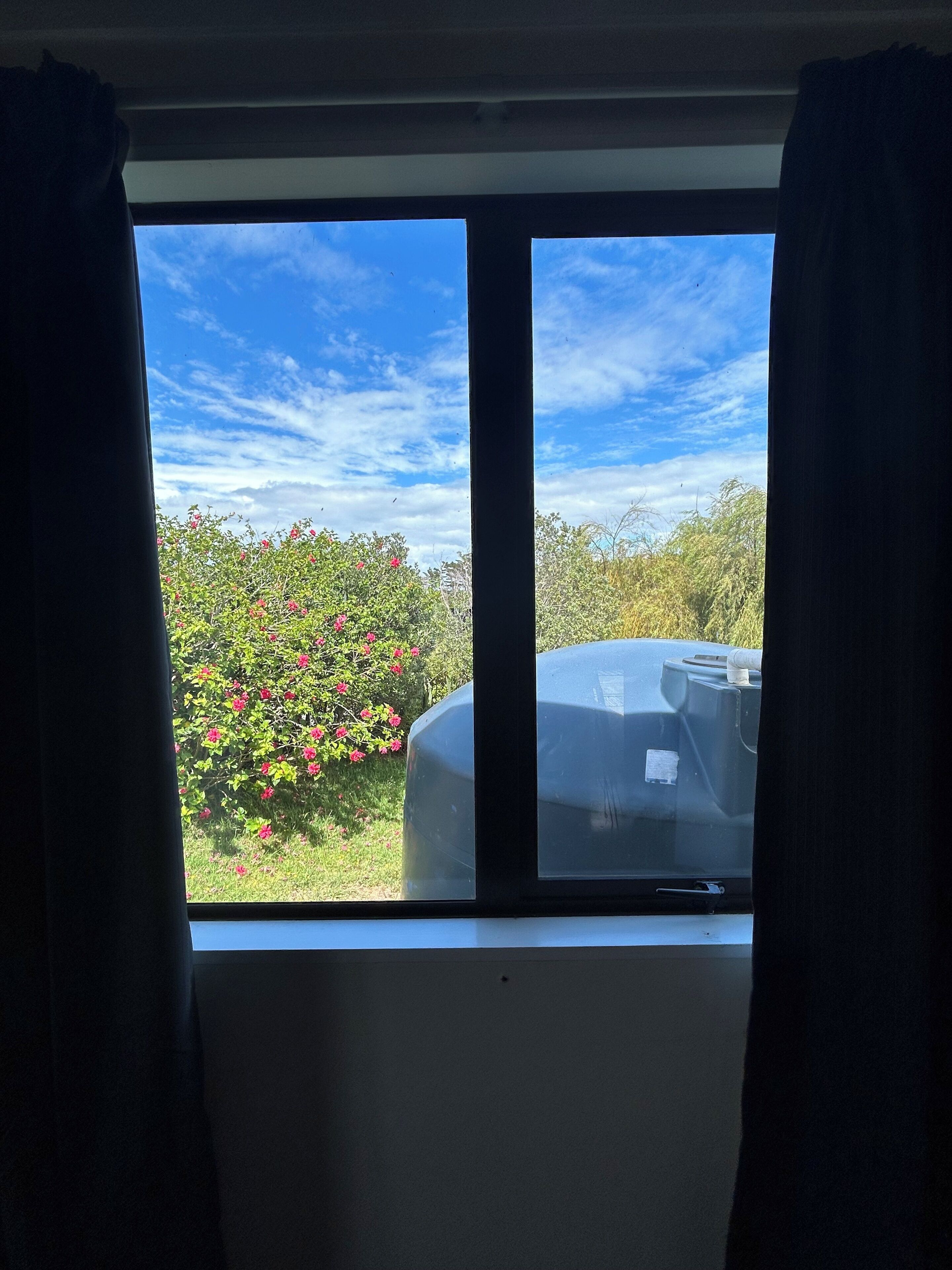 A window with a view of a garden and a water tank.