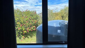 Ein Fenster mit Blick auf einen Garten und einen Wassertank.