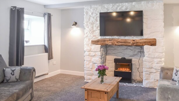 Een woonkamer met een stenen openhaard, een flatscreen televisie erboven, een grijze bank en een kleine houten tafel met een bloemenvaas.