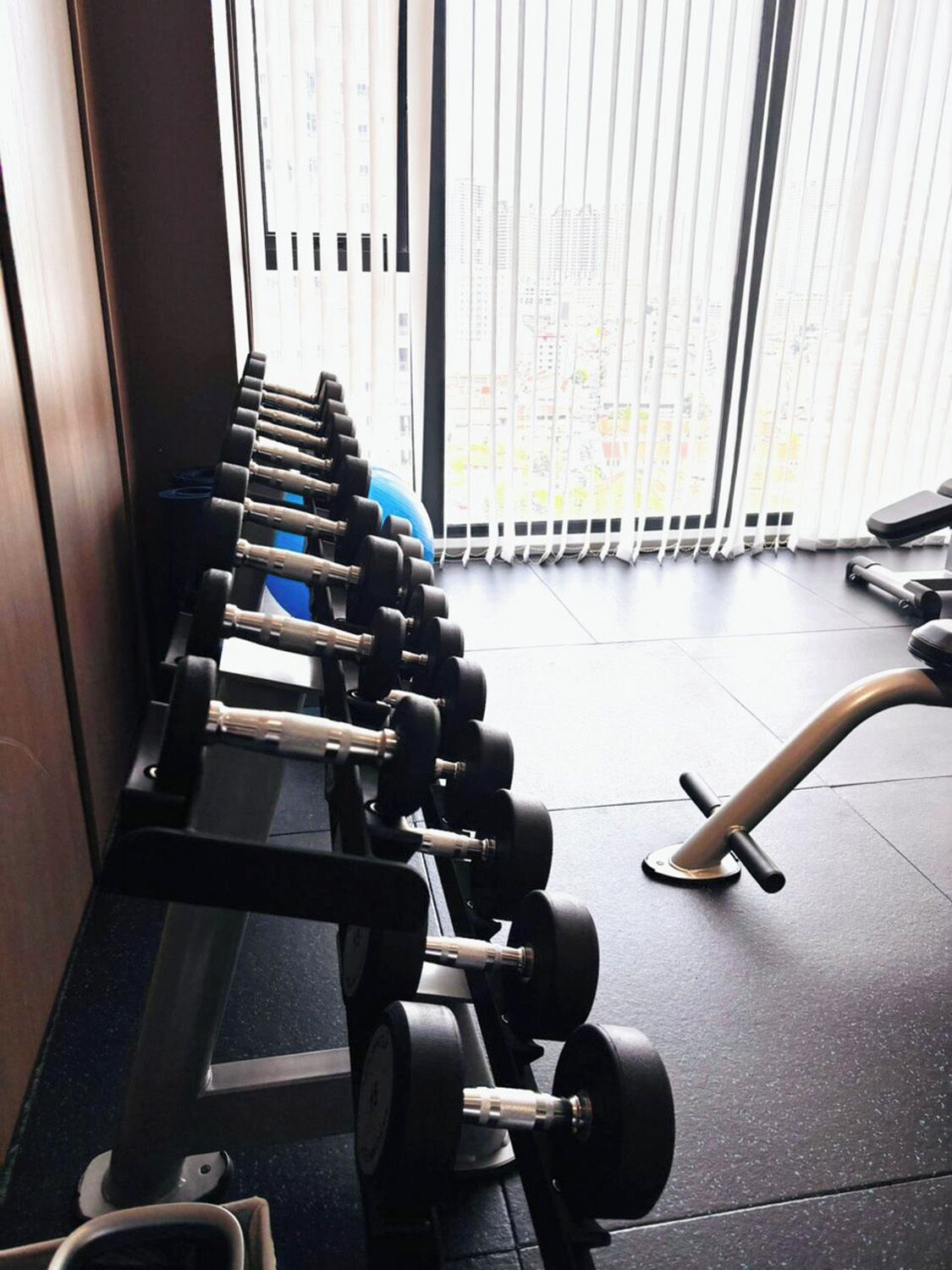A gym with a row of dumbbells, a blue exercise ball, and a water bottle.