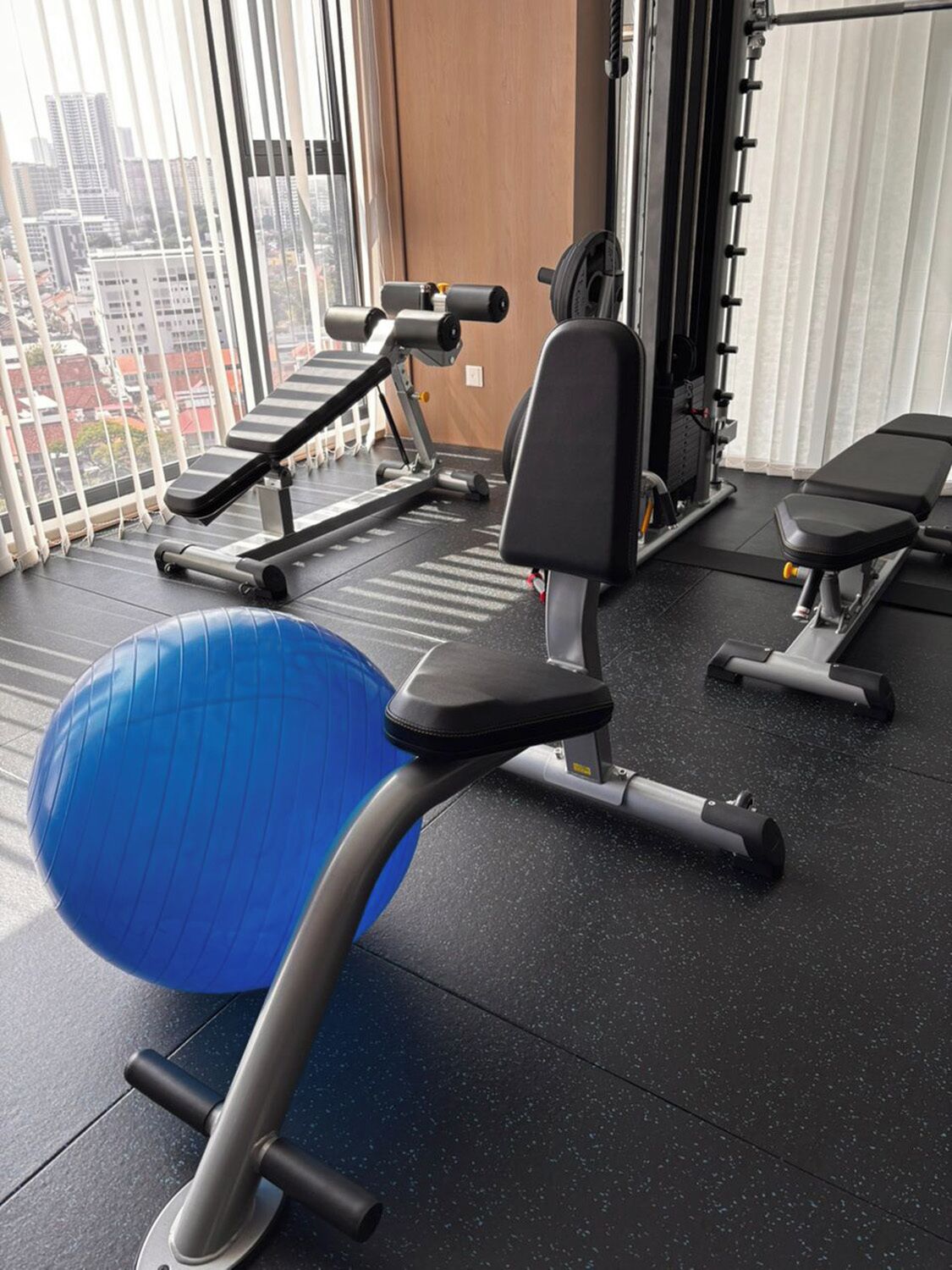 A gym with exercise equipment, a blue exercise ball, and a window with a city view.