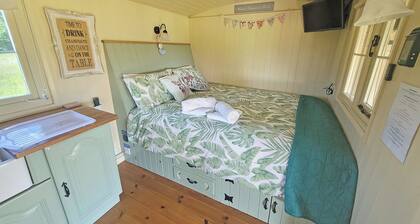 1 Schlafzimmer Unterkunft in Alresford